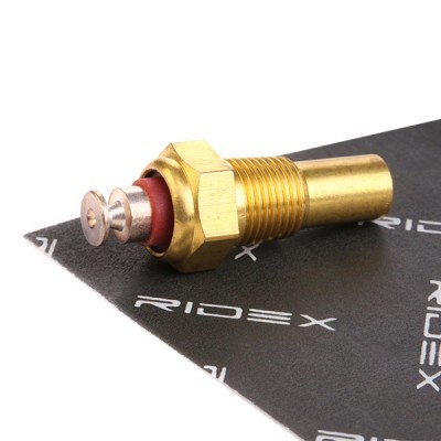 WS2519 TERMODAVAC OPEL 1342561 RIDEX 830C0013