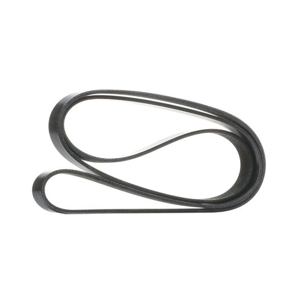 6PK1830 KAIS KANALEN RIDEX 305P0338